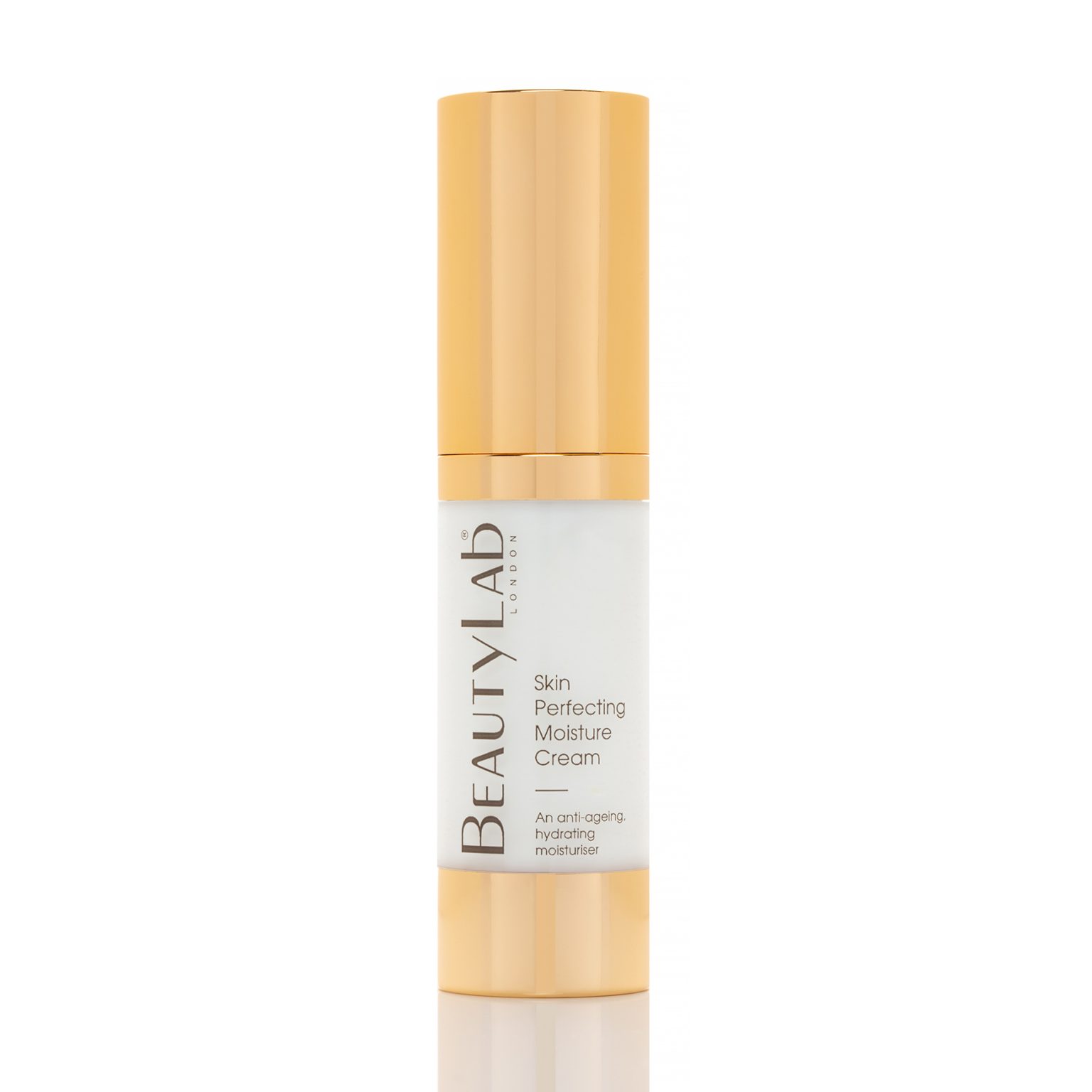 Skin Perfecting Moisture Cream Mini
