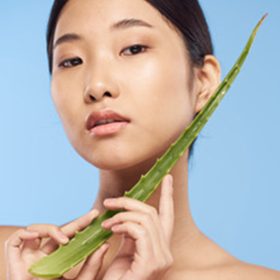 Aloe featured image