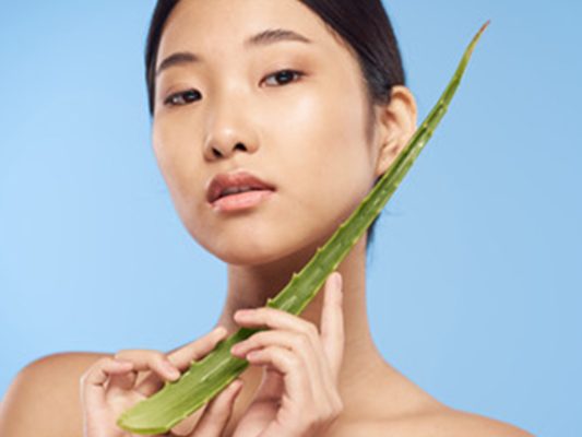 Aloe featured image