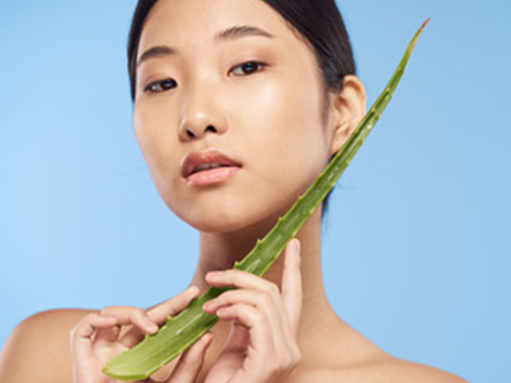 Aloe featured image
